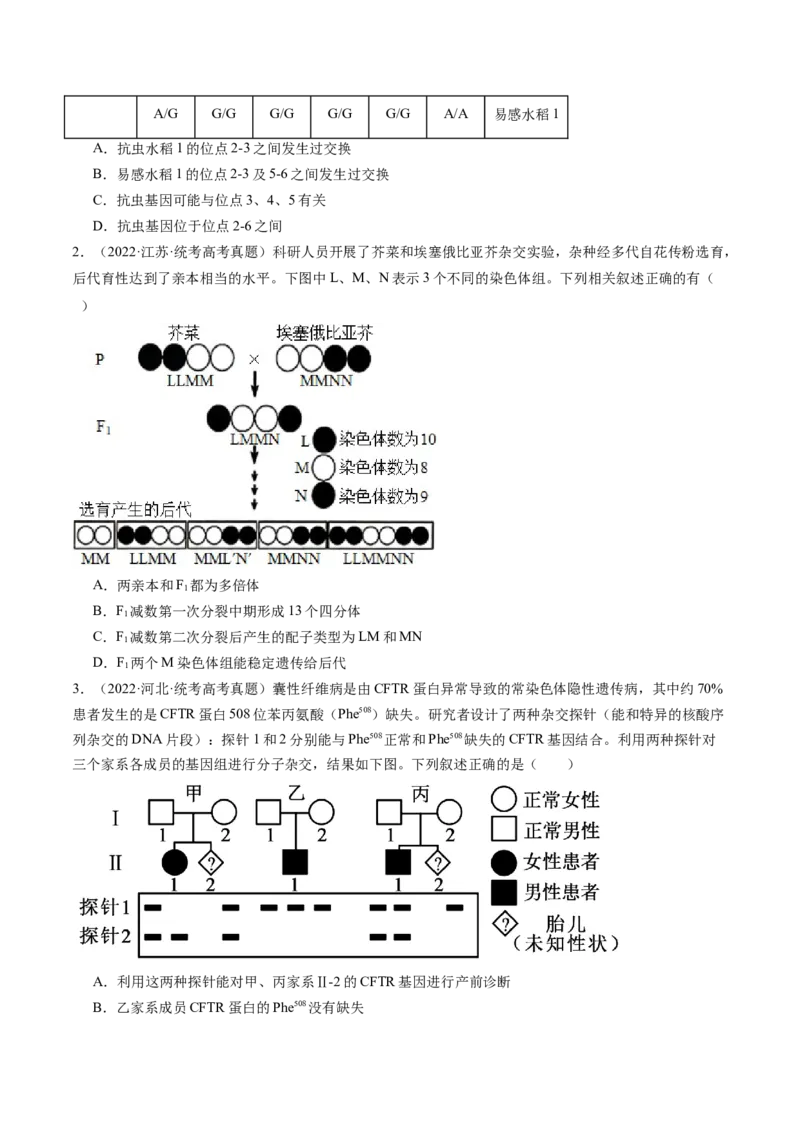 第23讲生物的变异（练习）（原卷版）_2024年新高考资料_1.2024一轮复习_2024年高考生物一轮复习讲练测（新教材新高考）