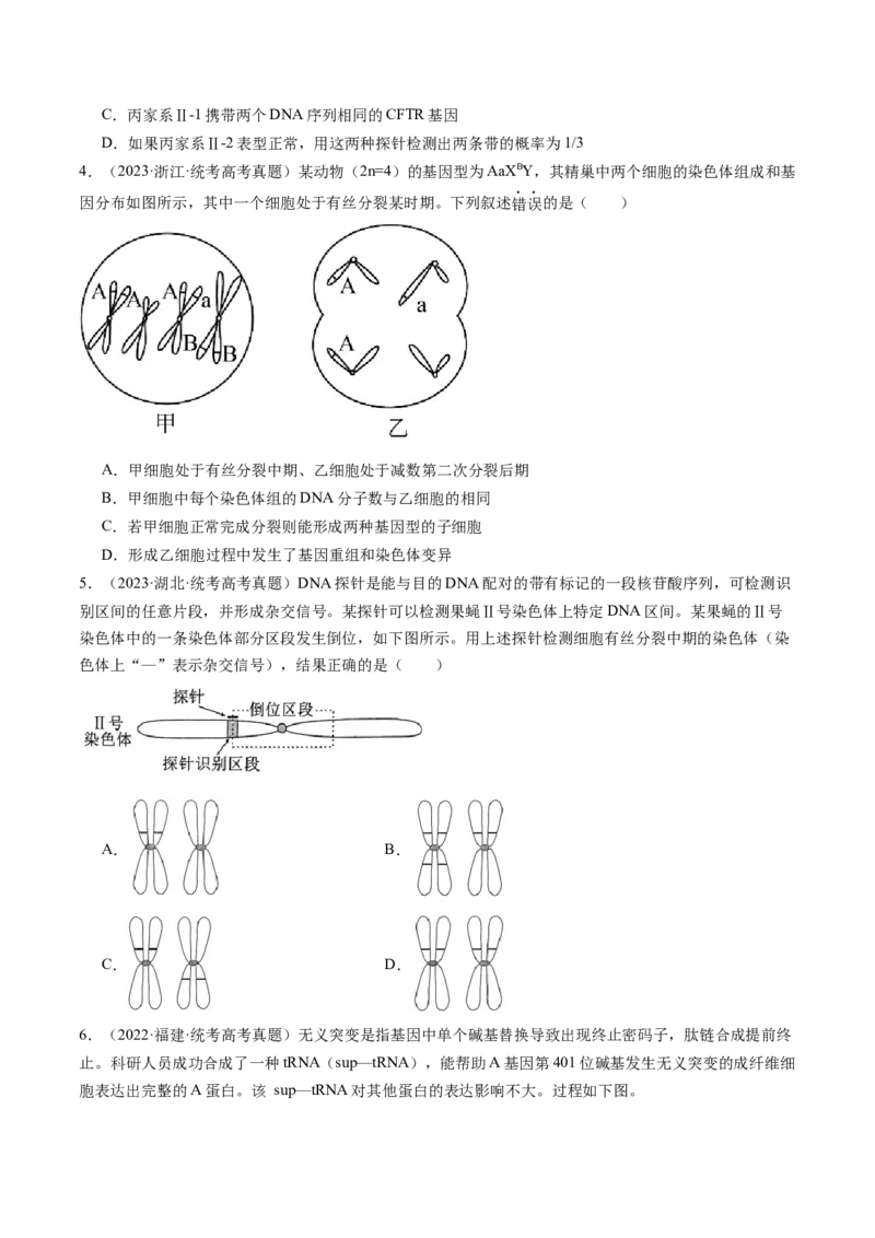 第23讲生物的变异（练习）（原卷版）_2024年新高考资料_1.2024一轮复习_2024年高考生物一轮复习讲练测（新教材新高考）