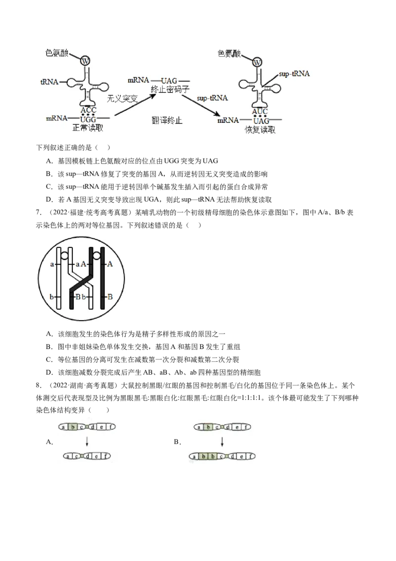 第23讲生物的变异（练习）（原卷版）_2024年新高考资料_1.2024一轮复习_2024年高考生物一轮复习讲练测（新教材新高考）