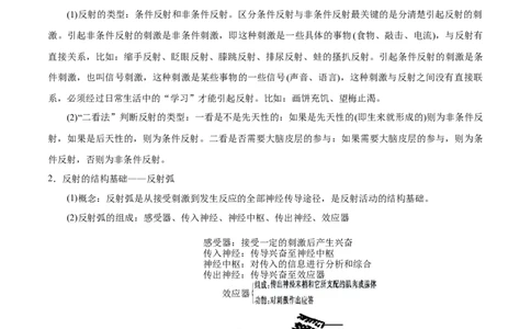 GKSW150_第21讲神经调节-备战2022年高考生物一轮复习精品讲义（人教版）(解析版)_新高考复习资料_2022年新高考复习资料_备战2022新高考生物一轮复习精品讲义（人教版）
