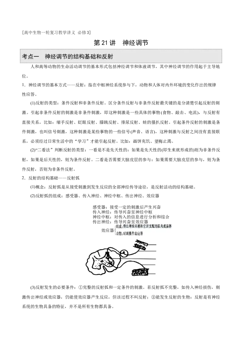 GKSW150_第21讲神经调节-备战2022年高考生物一轮复习精品讲义（人教版）(解析版)_新高考复习资料_2022年新高考复习资料_备战2022新高考生物一轮复习精品讲义（人教版）