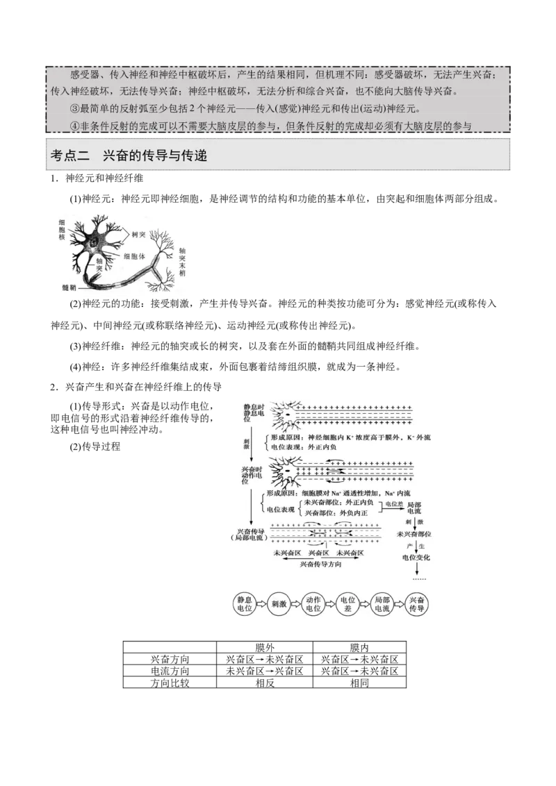 GKSW150_第21讲神经调节-备战2022年高考生物一轮复习精品讲义（人教版）(解析版)_新高考复习资料_2022年新高考复习资料_备战2022新高考生物一轮复习精品讲义（人教版）
