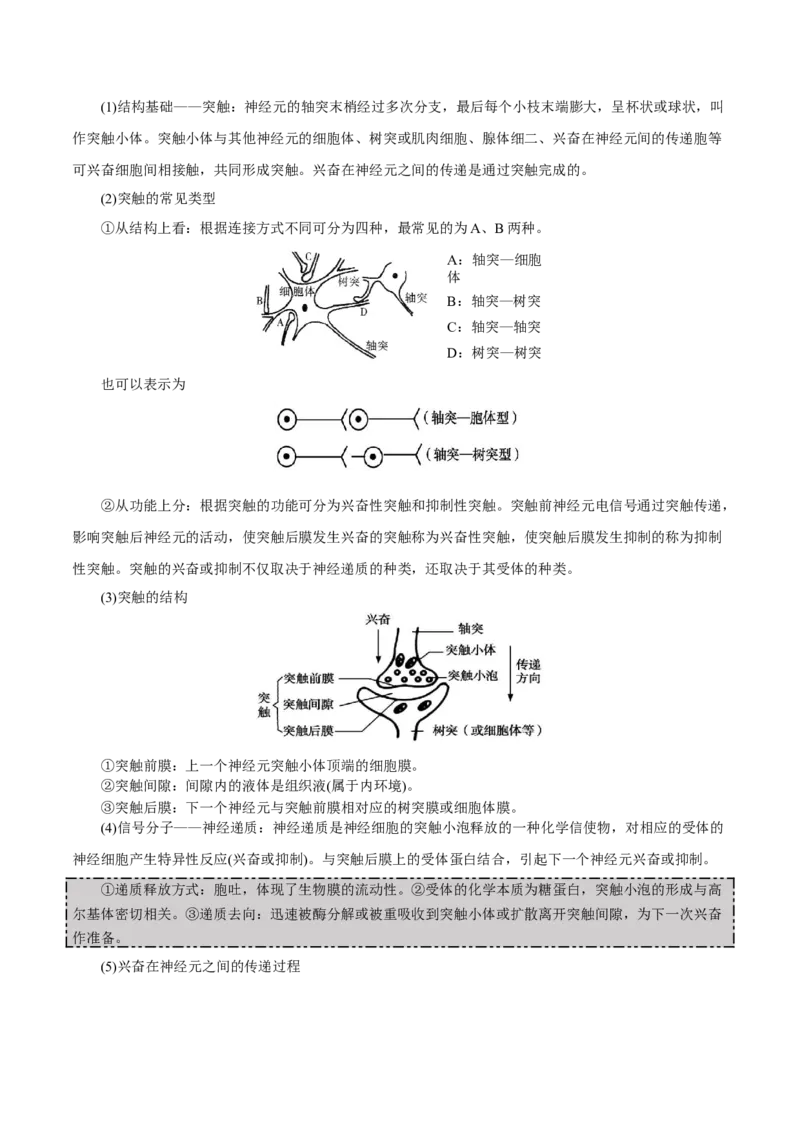 GKSW150_第21讲神经调节-备战2022年高考生物一轮复习精品讲义（人教版）(解析版)_新高考复习资料_2022年新高考复习资料_备战2022新高考生物一轮复习精品讲义（人教版）