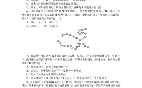 专练6　蛋白质的计算分析_新高考复习资料_2023年新高考复习资料_专项复习_2023《微专题&middot;小练习》&middot;生物&middot;新教材&middot;XL-7