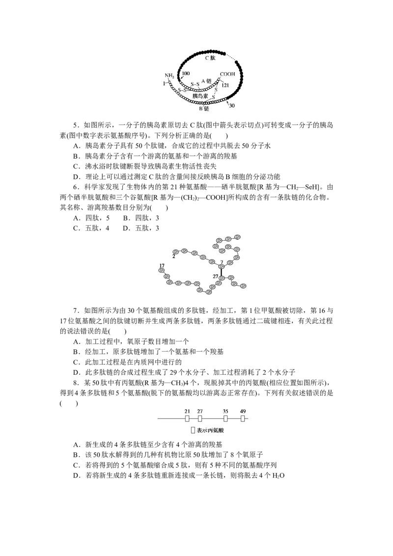 专练6　蛋白质的计算分析_新高考复习资料_2023年新高考复习资料_专项复习_2023《微专题&middot;小练习》&middot;生物&middot;新教材&middot;XL-7