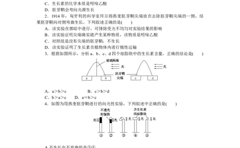 专练77　生长素的发现过程_新高考复习资料_2023年新高考复习资料_专项复习_2023《微专题&middot;小练习》&middot;生物&middot;新教材&middot;XL-7
