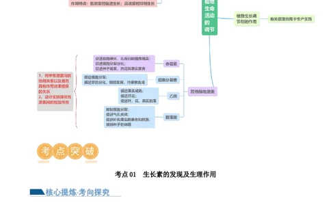 第13讲植物生命活动的调节（讲义）解析版_2024年新高考资料_2.2024二轮复习_2024年高考生物二轮复习讲练测（新教材新高考）