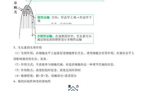第13讲植物生命活动的调节（讲义）解析版_2024年新高考资料_2.2024二轮复习_2024年高考生物二轮复习讲练测（新教材新高考）