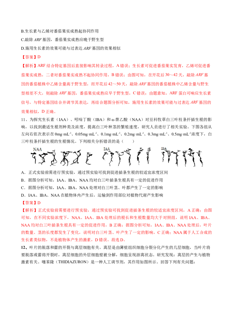 第13讲植物生命活动的调节（讲义）解析版_2024年新高考资料_2.2024二轮复习_2024年高考生物二轮复习讲练测（新教材新高考）