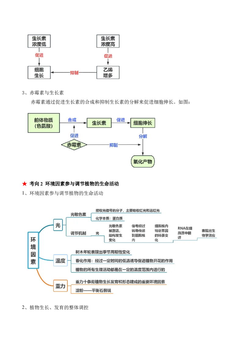 第13讲植物生命活动的调节（讲义）解析版_2024年新高考资料_2.2024二轮复习_2024年高考生物二轮复习讲练测（新教材新高考）