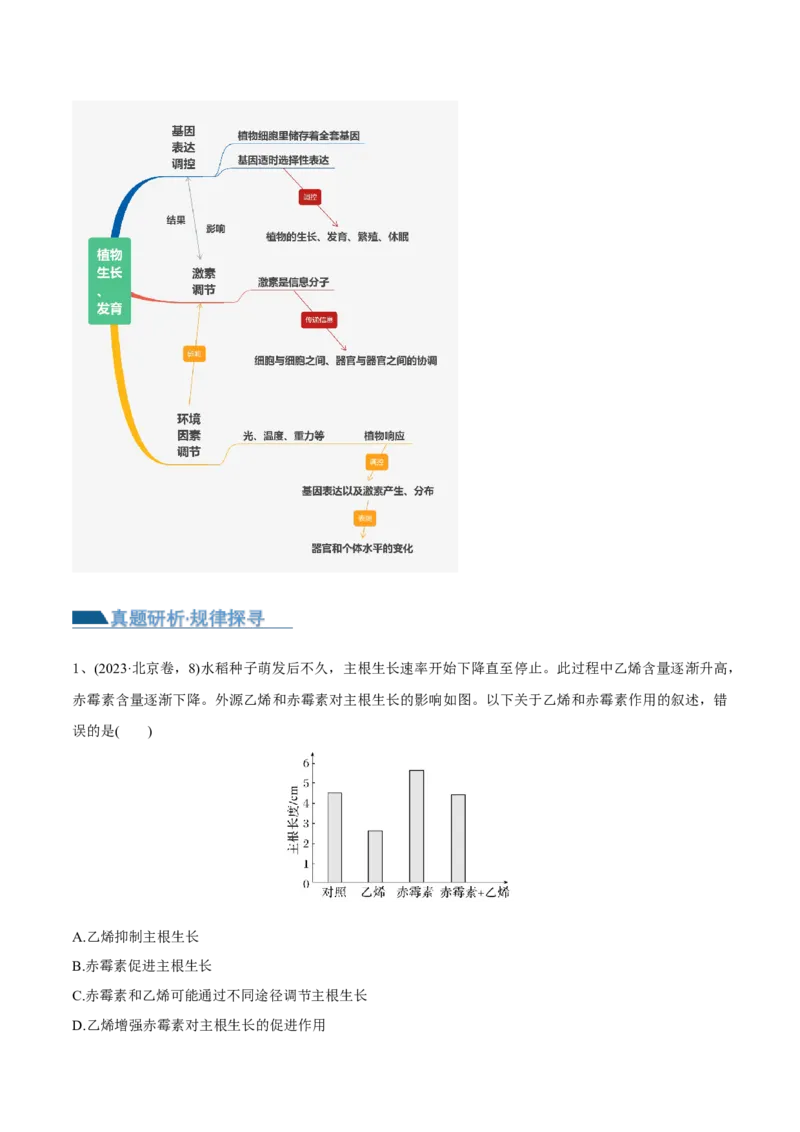 第13讲植物生命活动的调节（讲义）解析版_2024年新高考资料_2.2024二轮复习_2024年高考生物二轮复习讲练测（新教材新高考）