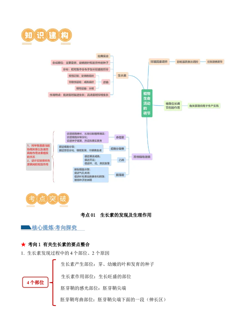 第13讲植物生命活动的调节（讲义）解析版_2024年新高考资料_2.2024二轮复习_2024年高考生物二轮复习讲练测（新教材新高考）