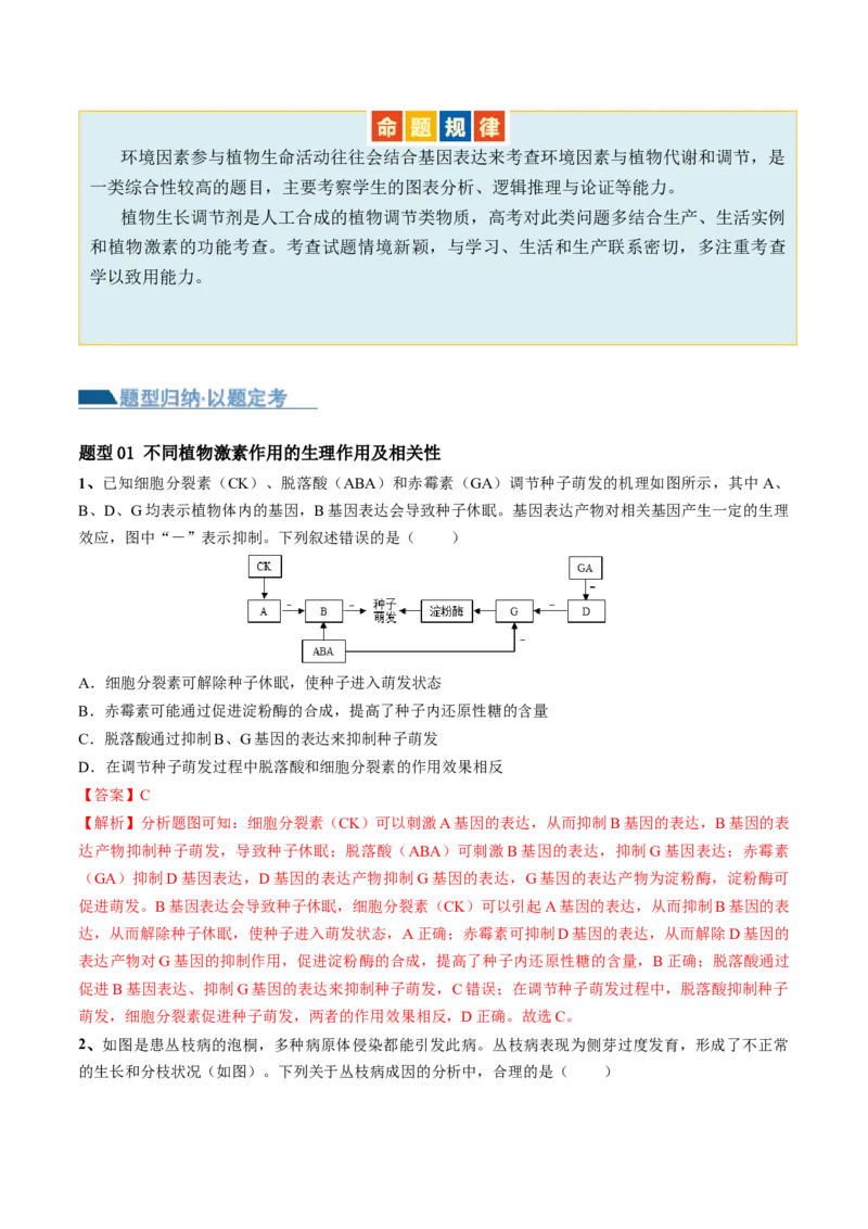 第13讲植物生命活动的调节（讲义）解析版_2024年新高考资料_2.2024二轮复习_2024年高考生物二轮复习讲练测（新教材新高考）