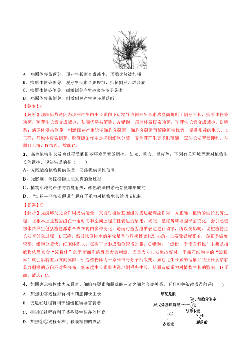 第13讲植物生命活动的调节（讲义）解析版_2024年新高考资料_2.2024二轮复习_2024年高考生物二轮复习讲练测（新教材新高考）