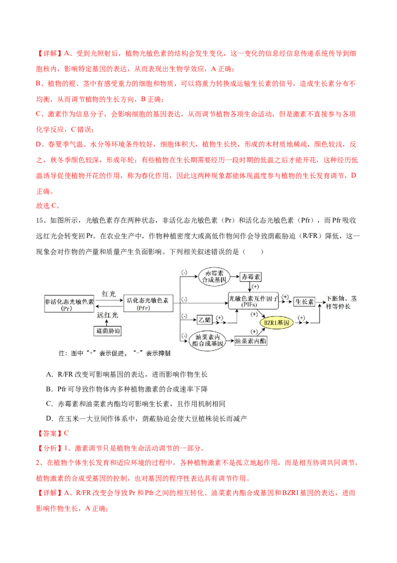 第13讲植物生命活动的调节（讲义）解析版_2024年新高考资料_2.2024二轮复习_2024年高考生物二轮复习讲练测（新教材新高考）