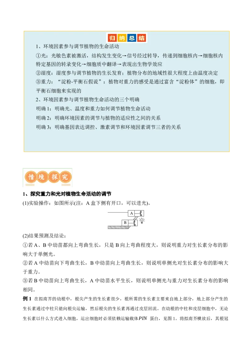 第13讲植物生命活动的调节（讲义）解析版_2024年新高考资料_2.2024二轮复习_2024年高考生物二轮复习讲练测（新教材新高考）