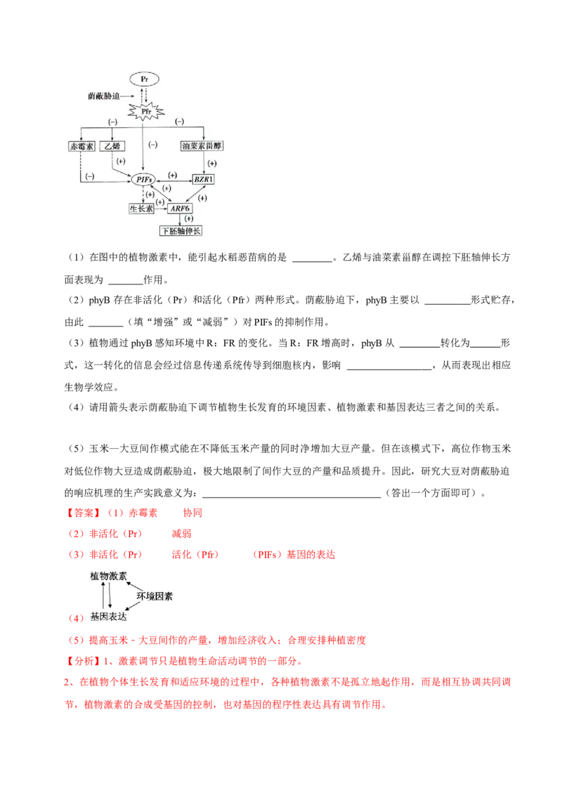 第13讲植物生命活动的调节（讲义）解析版_2024年新高考资料_2.2024二轮复习_2024年高考生物二轮复习讲练测（新教材新高考）