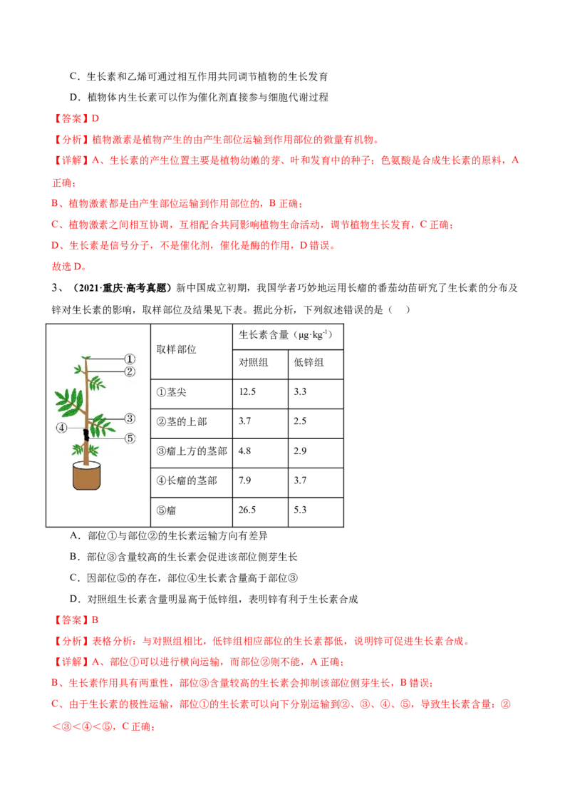 第13讲植物生命活动的调节（讲义）解析版_2024年新高考资料_2.2024二轮复习_2024年高考生物二轮复习讲练测（新教材新高考）