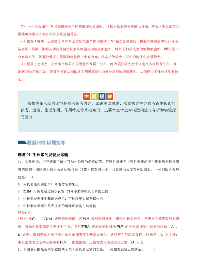 第13讲植物生命活动的调节（讲义）解析版_2024年新高考资料_2.2024二轮复习_2024年高考生物二轮复习讲练测（新教材新高考）