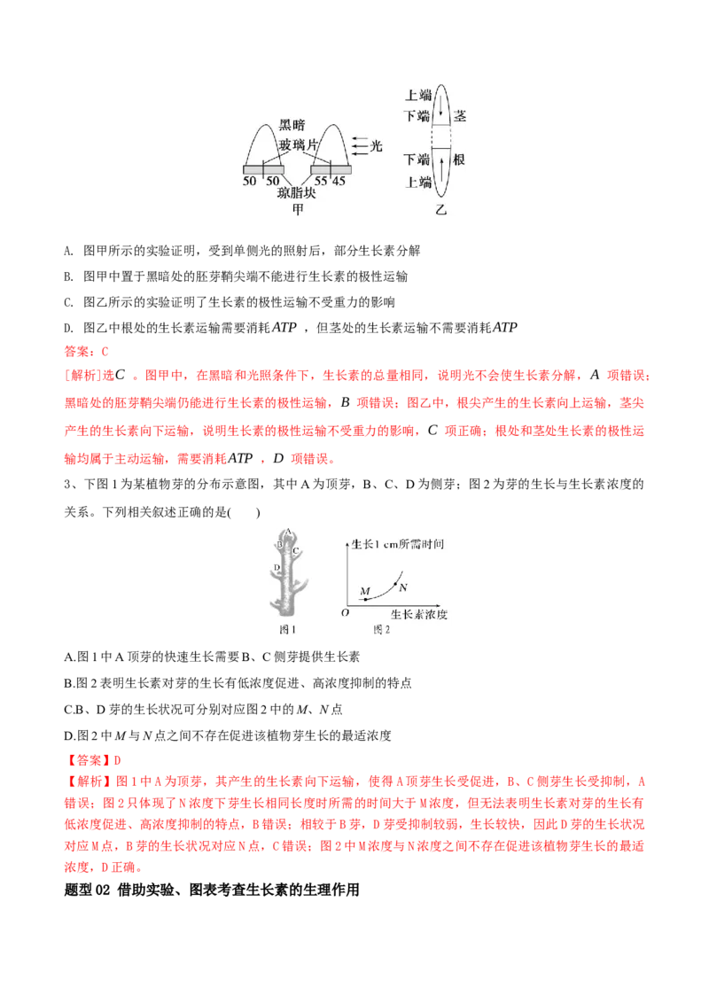 第13讲植物生命活动的调节（讲义）解析版_2024年新高考资料_2.2024二轮复习_2024年高考生物二轮复习讲练测（新教材新高考）