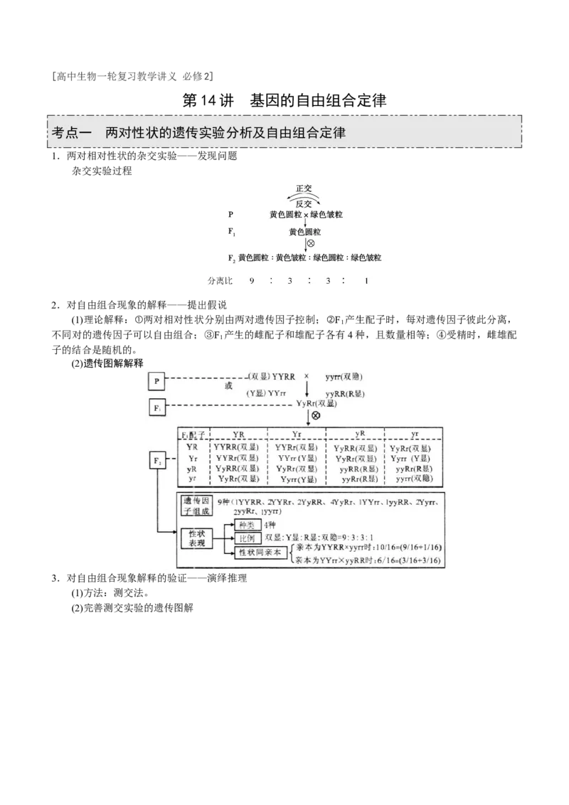 GKSW150_第14讲基因的自由组合定律-备战2022年高考生物一轮复习精品讲义（人教版）(原卷版)_新高考复习资料_2022年新高考复习资料_备战2022新高考生物一轮复习精品讲义（人教版）