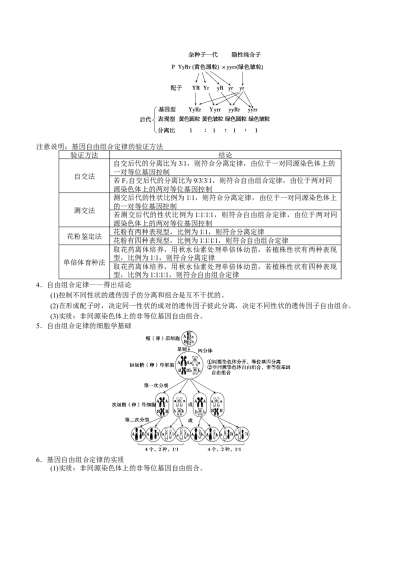 GKSW150_第14讲基因的自由组合定律-备战2022年高考生物一轮复习精品讲义（人教版）(原卷版)_新高考复习资料_2022年新高考复习资料_备战2022新高考生物一轮复习精品讲义（人教版）