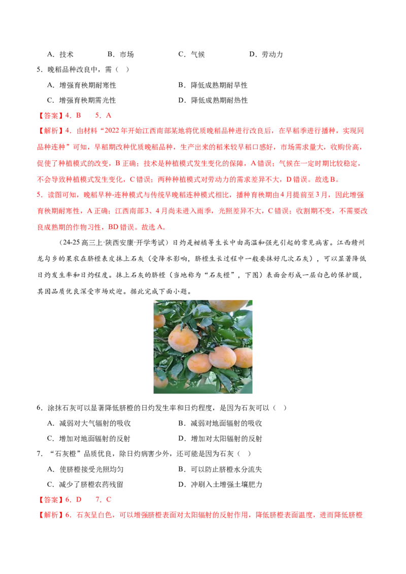 微专题农业技术、市场竞争力、新型服务业（练习）（解析版）_2025年新高考资料_二轮复习_01高考语文等多个文件_上好课2025年高考地理二轮复习讲练测（新高考通用）