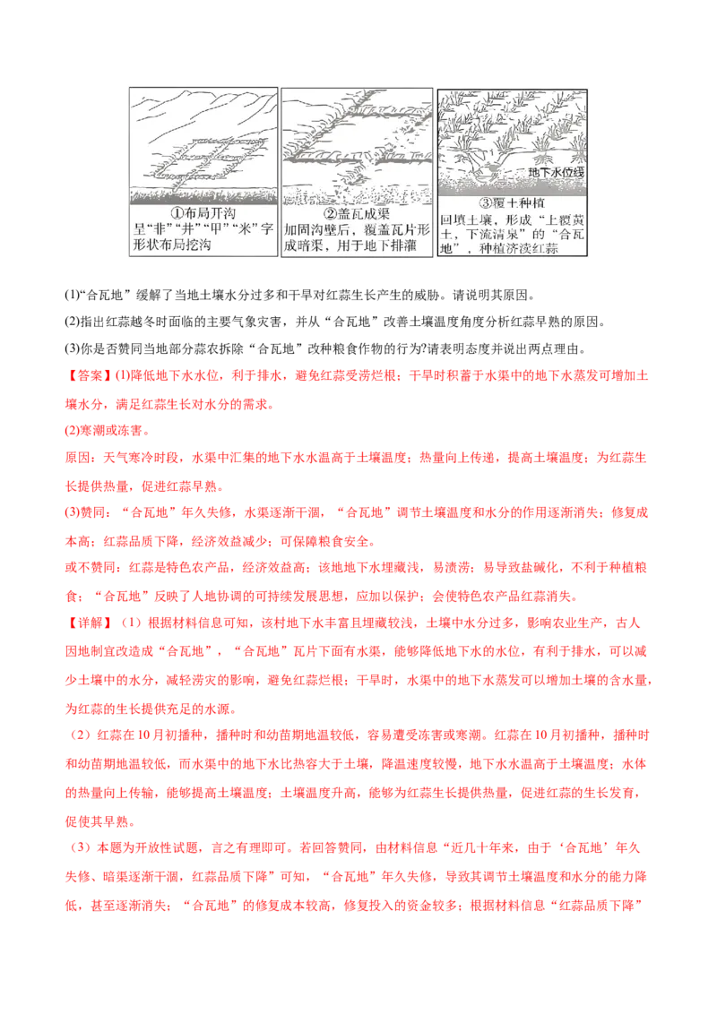 微专题农业技术、市场竞争力、新型服务业（练习）（解析版）_2025年新高考资料_二轮复习_01高考语文等多个文件_上好课2025年高考地理二轮复习讲练测（新高考通用）