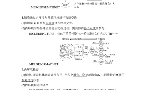 第22讲人体内环境稳态及实例_2024年新高考资料_1.2024一轮复习_2024年高考生物一轮复习讲义（新人教版）_另附1套Word版题库_选择性必修1_第八单元稳态与调节