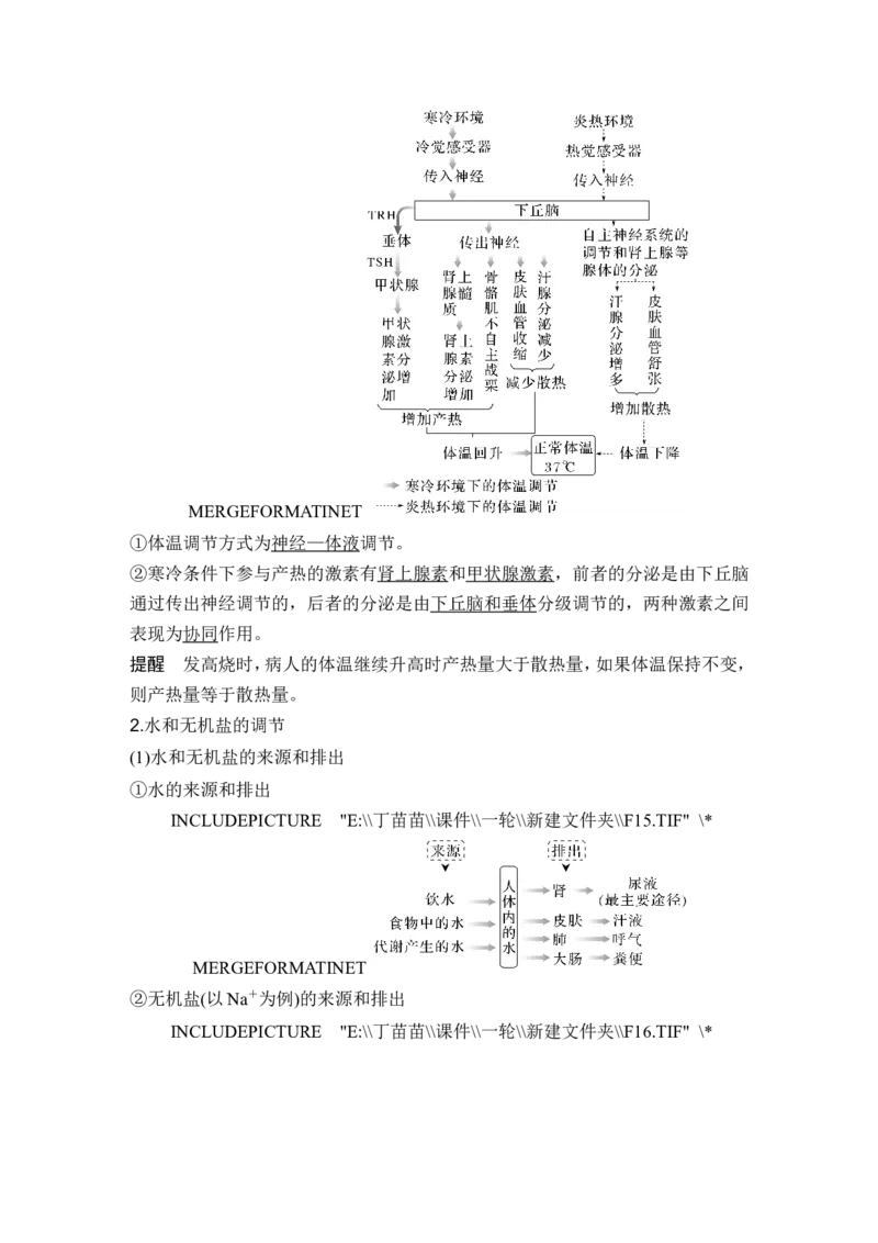 第22讲人体内环境稳态及实例_2024年新高考资料_1.2024一轮复习_2024年高考生物一轮复习讲义（新人教版）_另附1套Word版题库_选择性必修1_第八单元稳态与调节