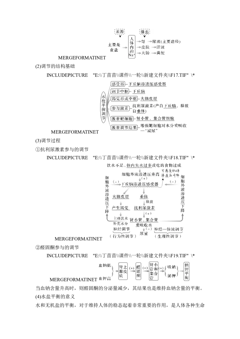 第22讲人体内环境稳态及实例_2024年新高考资料_1.2024一轮复习_2024年高考生物一轮复习讲义（新人教版）_另附1套Word版题库_选择性必修1_第八单元稳态与调节