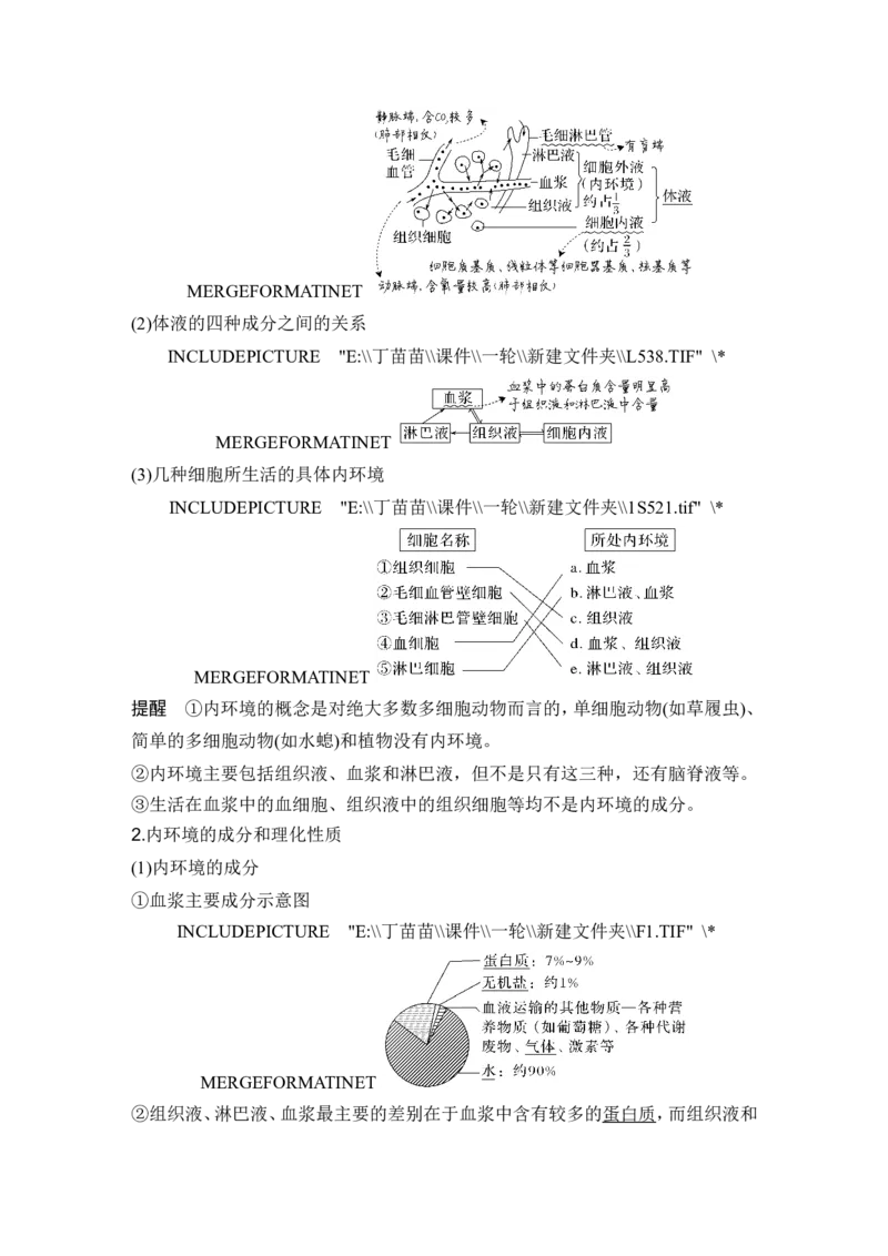 第22讲人体内环境稳态及实例_2024年新高考资料_1.2024一轮复习_2024年高考生物一轮复习讲义（新人教版）_另附1套Word版题库_选择性必修1_第八单元稳态与调节