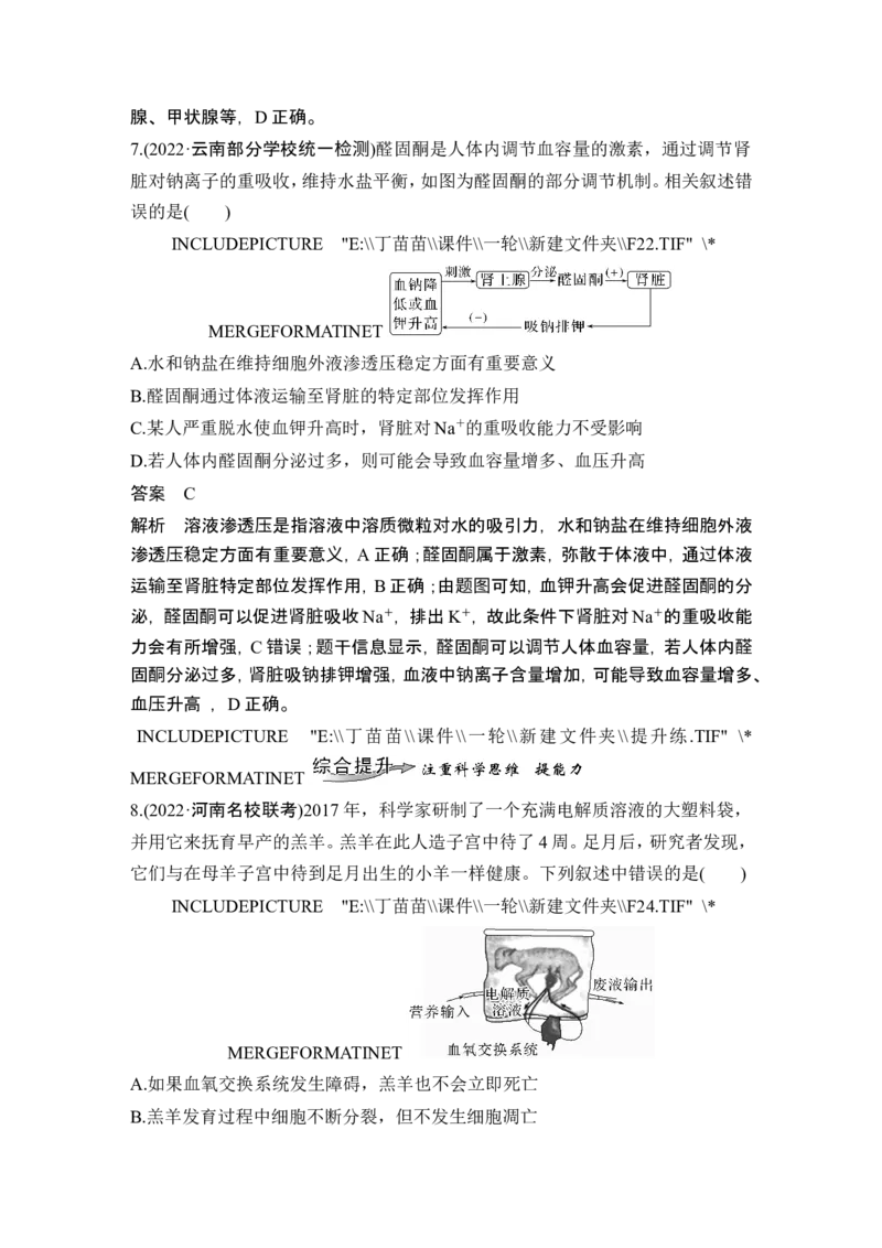 第22讲人体内环境稳态及实例_2024年新高考资料_1.2024一轮复习_2024年高考生物一轮复习讲义（新人教版）_另附1套Word版题库_选择性必修1_第八单元稳态与调节