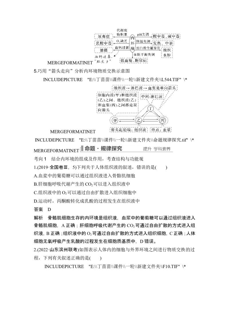 第22讲人体内环境稳态及实例_2024年新高考资料_1.2024一轮复习_2024年高考生物一轮复习讲义（新人教版）_另附1套Word版题库_选择性必修1_第八单元稳态与调节