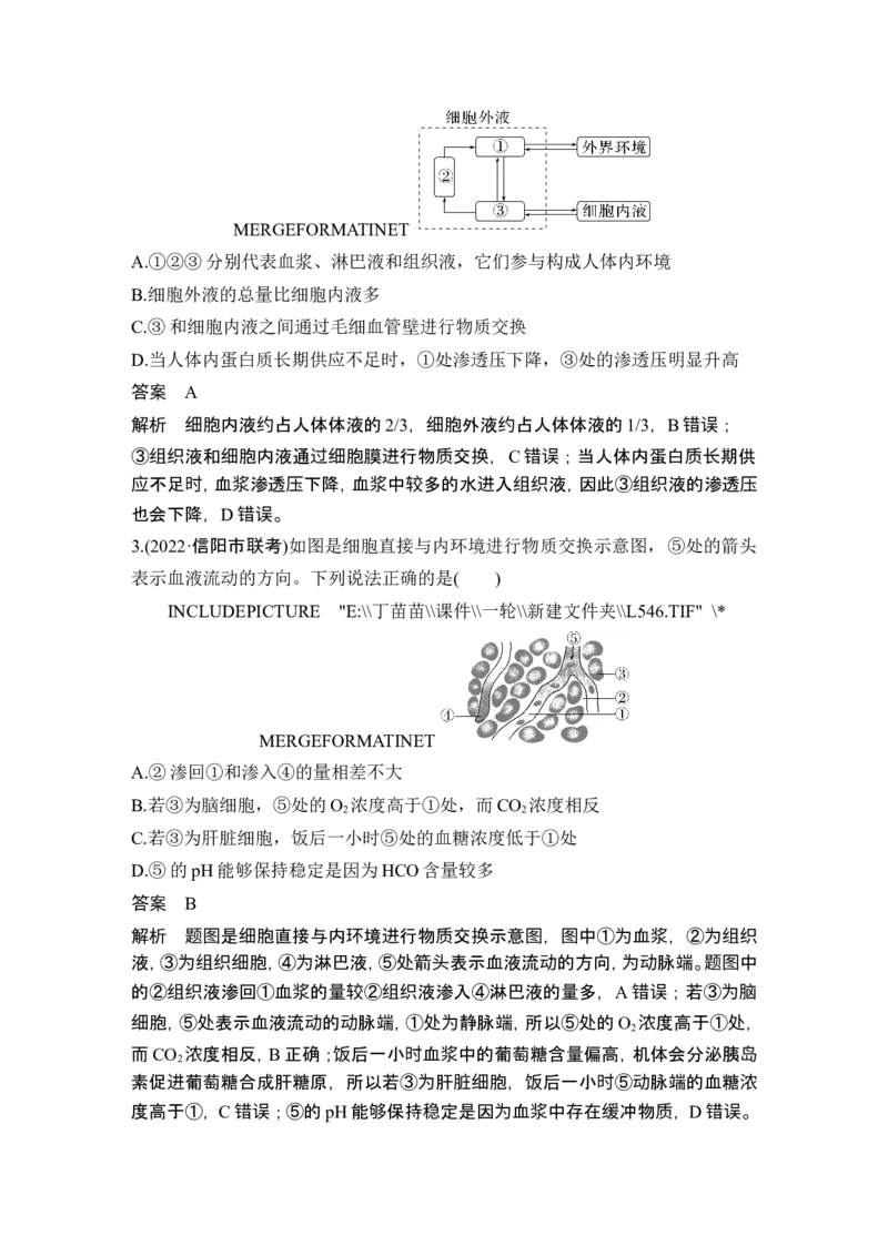 第22讲人体内环境稳态及实例_2024年新高考资料_1.2024一轮复习_2024年高考生物一轮复习讲义（新人教版）_另附1套Word版题库_选择性必修1_第八单元稳态与调节