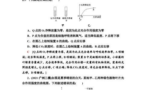 [13326485]备考2023生物课时分层作业10　光合作用与能量转化(Ⅱ)(含解析）_新高考复习资料_2023年新高考复习资料_专项复习_备考2023新高考生物课时分层作业