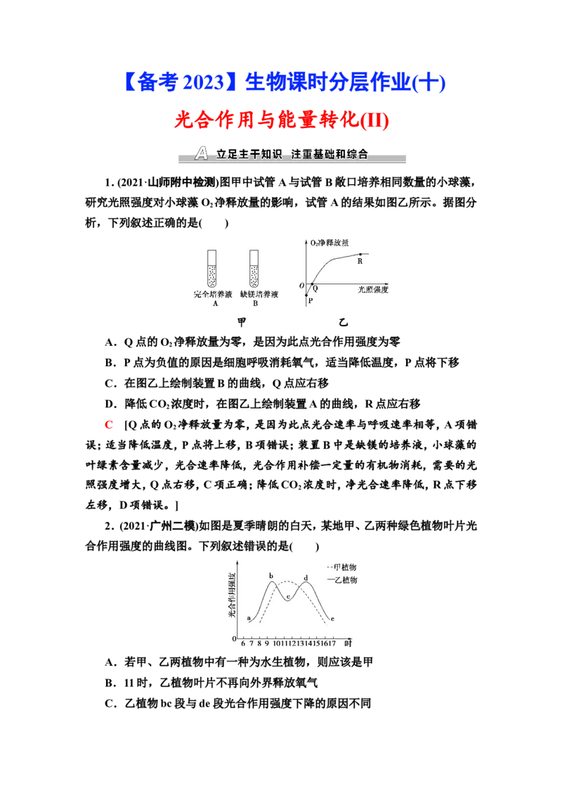[13326485]备考2023生物课时分层作业10　光合作用与能量转化(Ⅱ)(含解析）_新高考复习资料_2023年新高考复习资料_专项复习_备考2023新高考生物课时分层作业