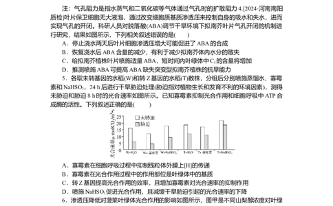 2025届高中生物学一轮复习检测案11　光合作用(二)（含解析）_2025年新高考资料_一轮复习_2025届高中生物学一轮复习分层复习检测(含解析)