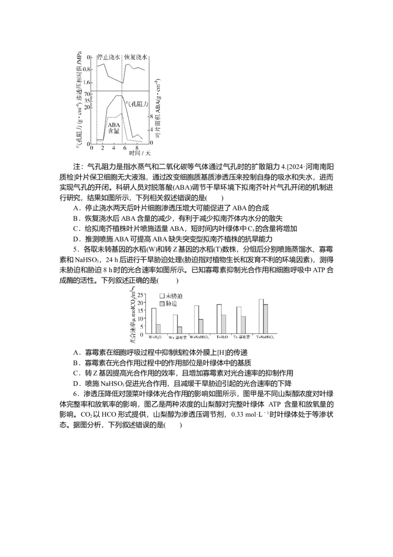 2025届高中生物学一轮复习检测案11　光合作用(二)（含解析）_2025年新高考资料_一轮复习_2025届高中生物学一轮复习分层复习检测(含解析)