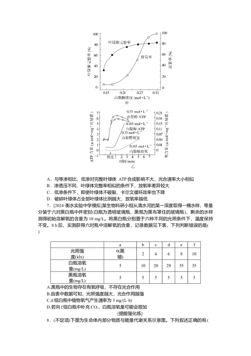 2025届高中生物学一轮复习检测案11　光合作用(二)（含解析）_2025年新高考资料_一轮复习_2025届高中生物学一轮复习分层复习检测(含解析)