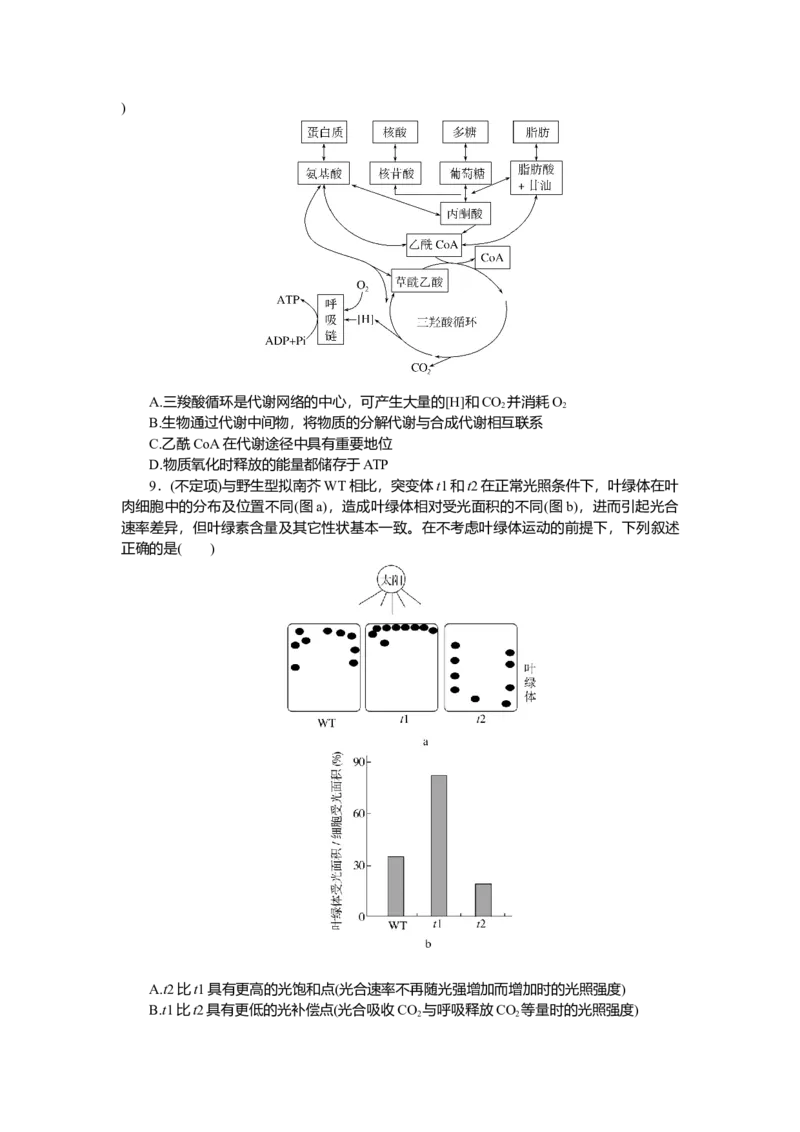 2025届高中生物学一轮复习检测案11　光合作用(二)（含解析）_2025年新高考资料_一轮复习_2025届高中生物学一轮复习分层复习检测(含解析)