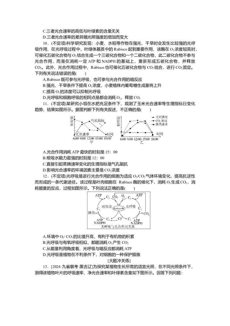 2025届高中生物学一轮复习检测案11　光合作用(二)（含解析）_2025年新高考资料_一轮复习_2025届高中生物学一轮复习分层复习检测(含解析)