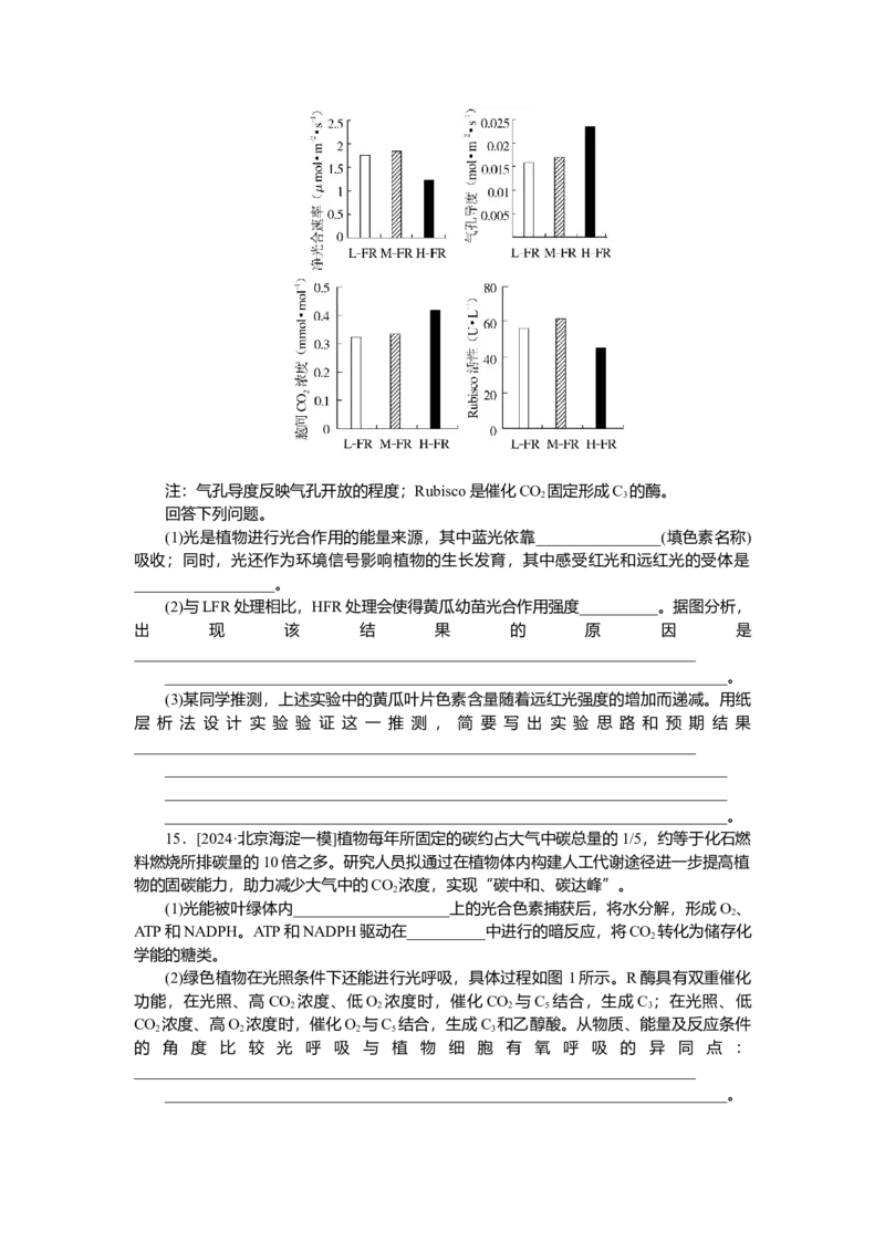 2025届高中生物学一轮复习检测案11　光合作用(二)（含解析）_2025年新高考资料_一轮复习_2025届高中生物学一轮复习分层复习检测(含解析)