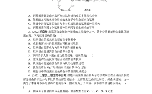 专练3　生命活动的主要承担者&mdash;&mdash;蛋白质_通用版（老高考）复习资料_2023年复习资料_专项复习_2023《微专题&middot;小练习》&middot;生物