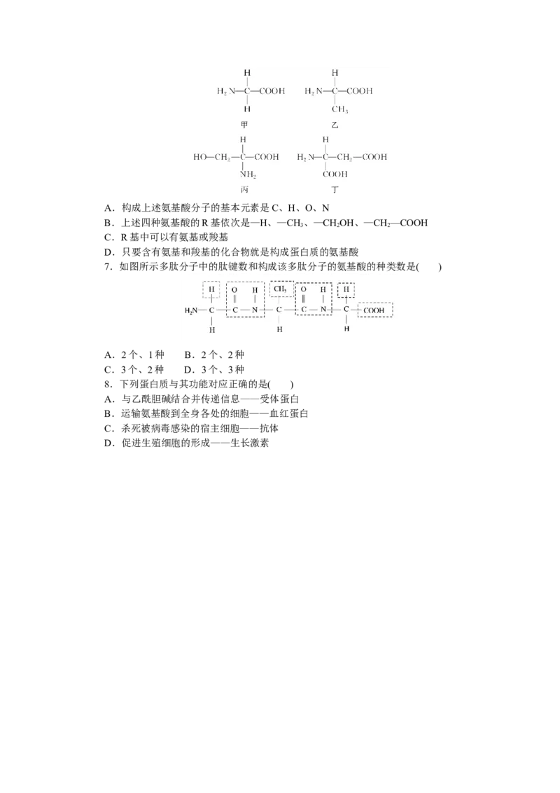 专练3　生命活动的主要承担者&mdash;&mdash;蛋白质_通用版（老高考）复习资料_2023年复习资料_专项复习_2023《微专题&middot;小练习》&middot;生物
