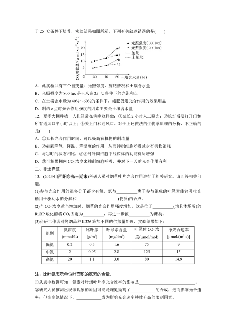 第3单元　课时练6　光合作用的影响因素及其应用_2024年新高考资料_1.2024一轮复习_2024年高考生物一轮复习讲义（新人教版）_学生版在此文件夹_一轮复习69练
