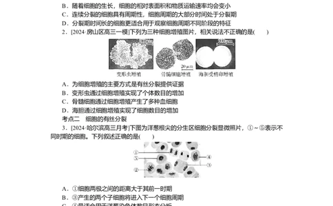 2025届高中生物学一轮复习检测案12　细胞周期和细胞的有丝分裂（含解析）_2025年新高考资料_一轮复习_2025届高中生物学一轮复习分层复习检测(含解析)