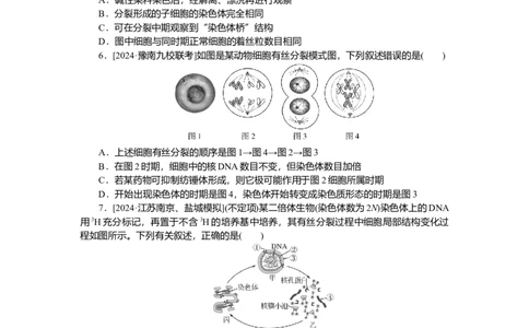 2025届高中生物学一轮复习检测案12　细胞周期和细胞的有丝分裂（含解析）_2025年新高考资料_一轮复习_2025届高中生物学一轮复习分层复习检测(含解析)