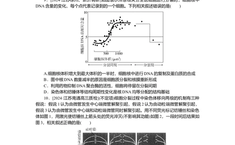 2025届高中生物学一轮复习检测案12　细胞周期和细胞的有丝分裂（含解析）_2025年新高考资料_一轮复习_2025届高中生物学一轮复习分层复习检测(含解析)