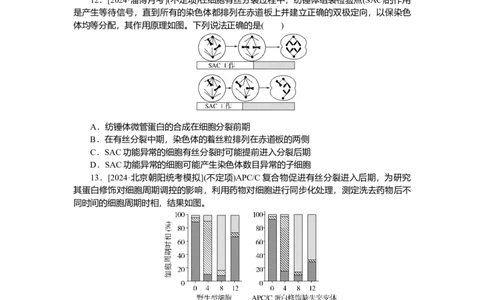 2025届高中生物学一轮复习检测案12　细胞周期和细胞的有丝分裂（含解析）_2025年新高考资料_一轮复习_2025届高中生物学一轮复习分层复习检测(含解析)